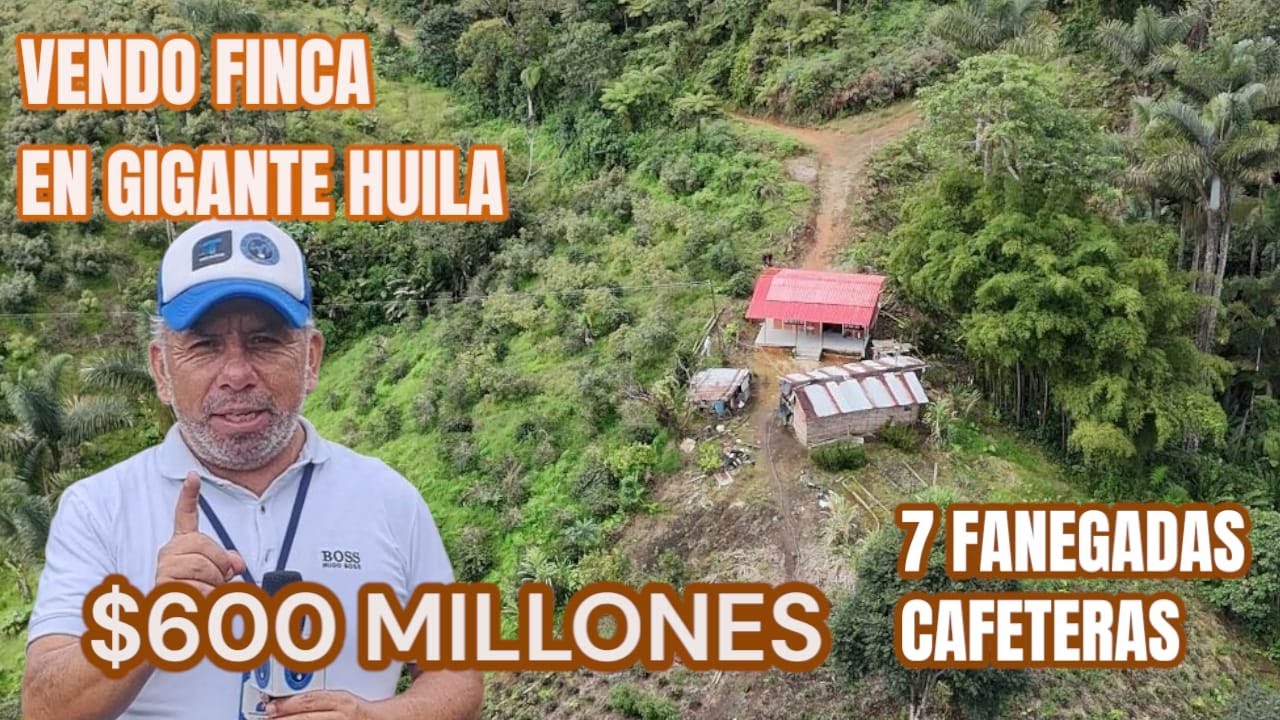 Finca las palmas gigante huila