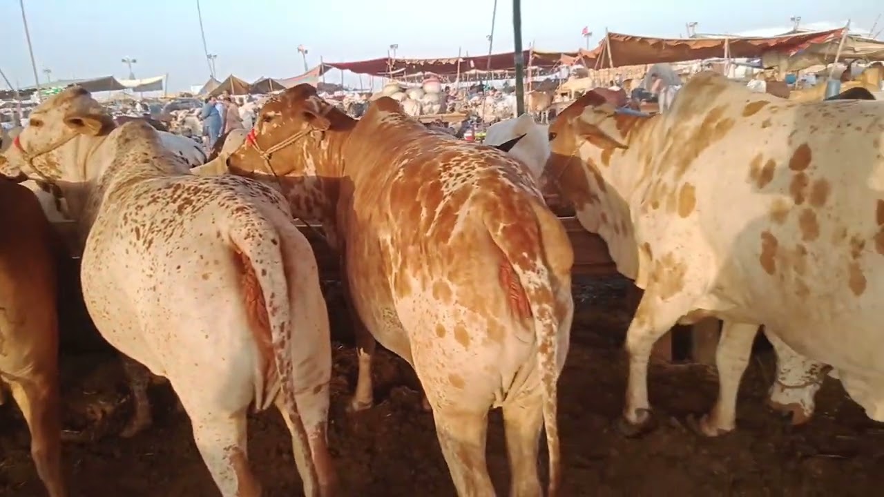 Yadain Karachi 