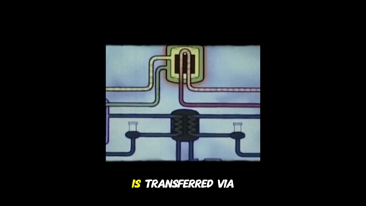 This is how a Thorium molten salt reactor works | Nuclear Energy #Thorium #Technology #howitworks