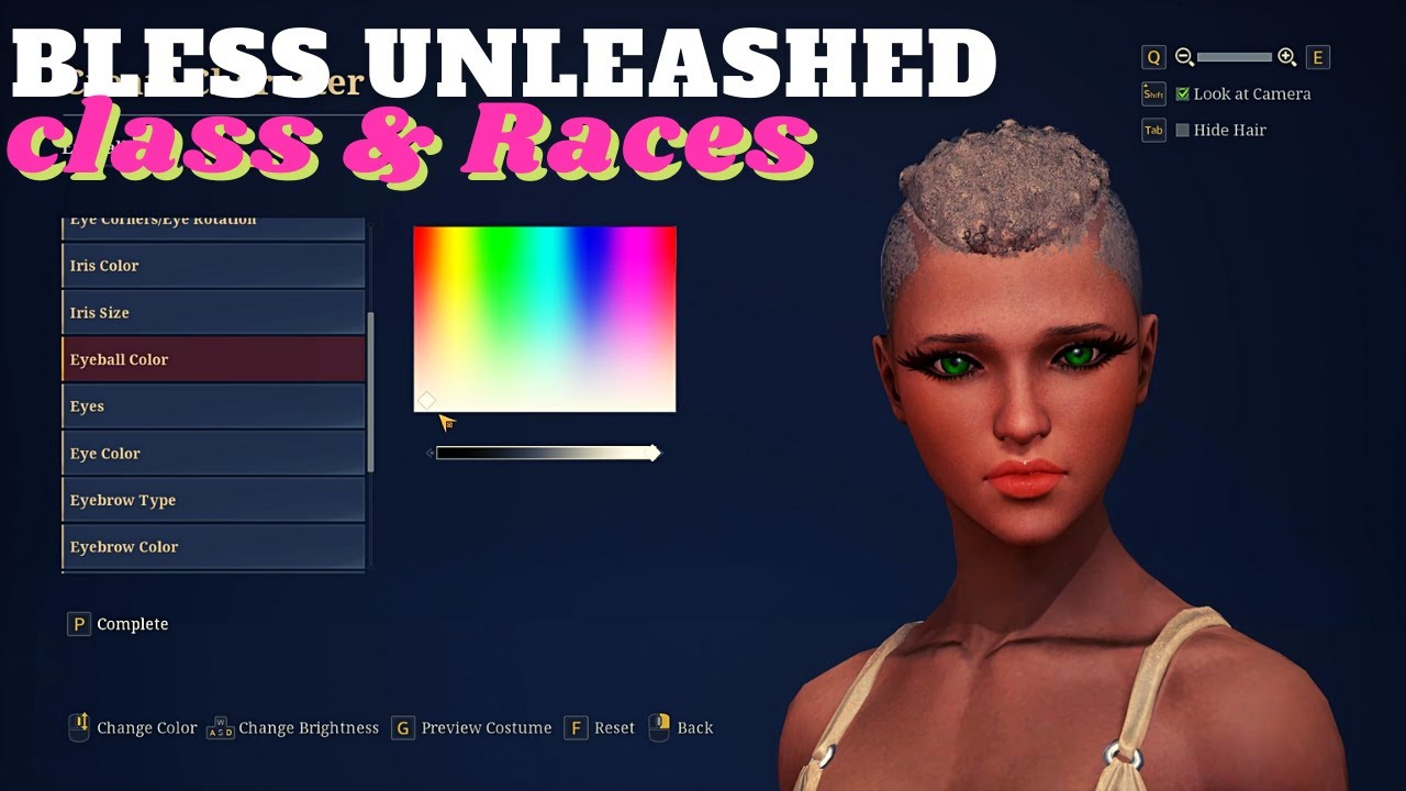 Bless Unleashed Class & Races full character customisation.