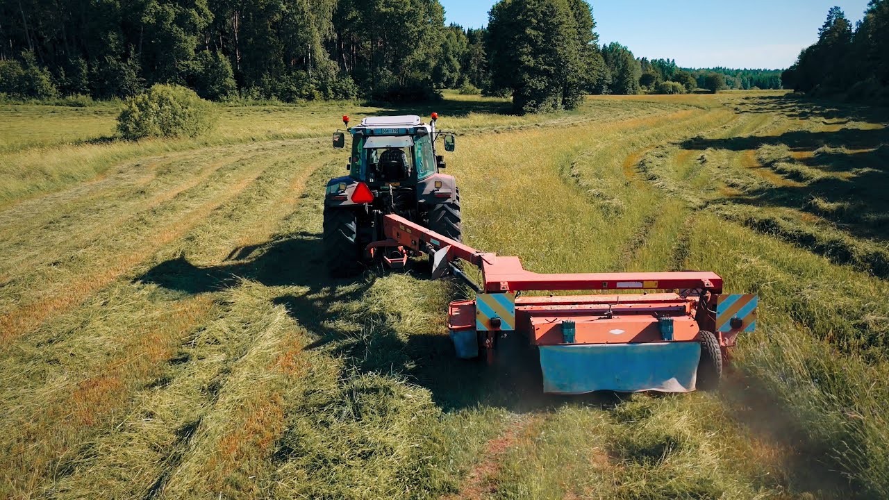 Vackra minnen i slåttertider | Livet som månskensbonde på gård i Uppland 🐔🐄🐏