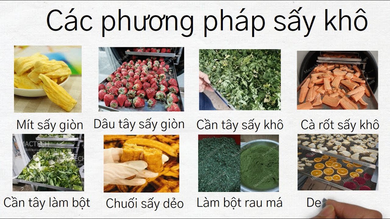 Hiểu rõ Các phương pháp sấy khô, sấy nóng, sấy lạnh và sấy thăng hoa