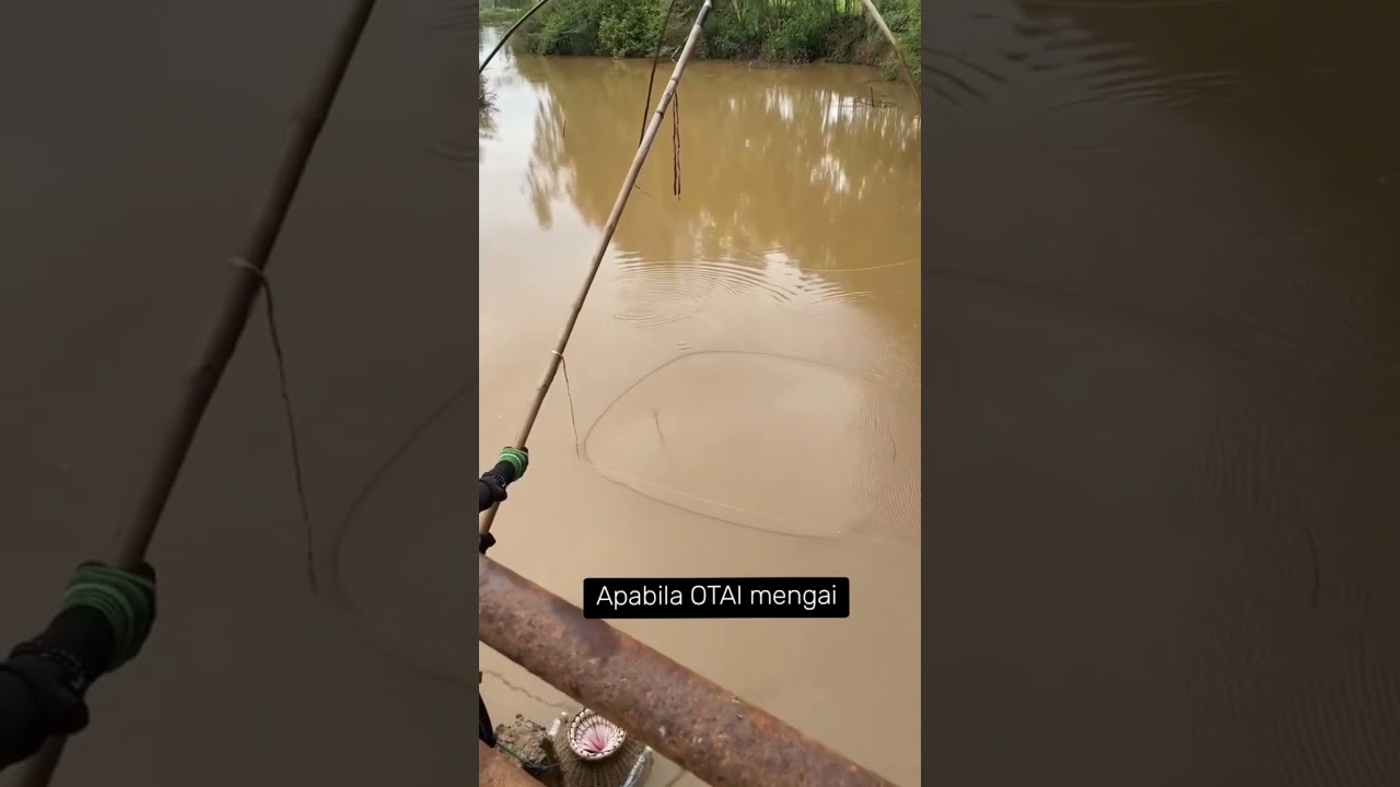 Mengai jom #mengai #memancing