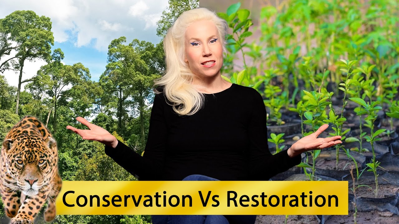 HOW RESTORATION HELPS CONSERVATION – Restoring Degraded Land Takes Pressure Off Healthy Ecosystems