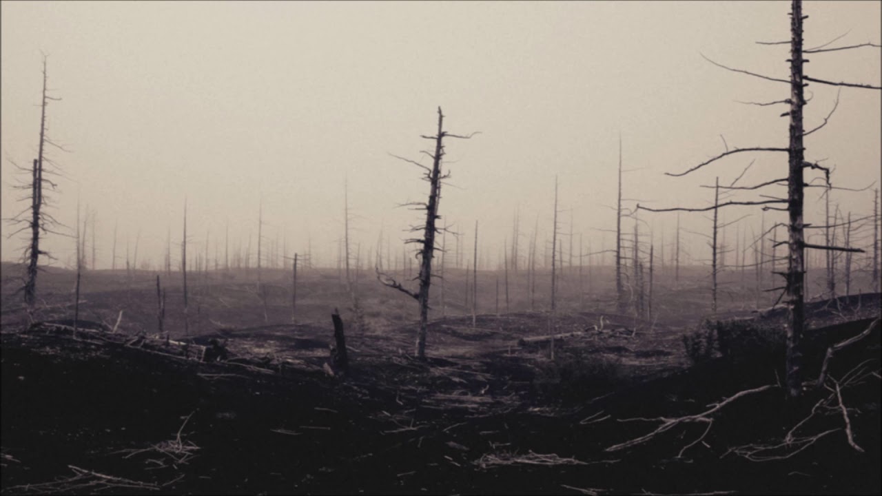Etched - Desolate