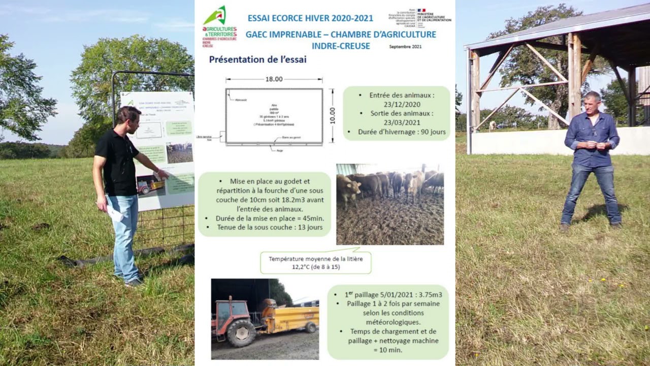 Litière d’écorce de bois : suivi chez un éleveur de bovins de l’Indre  - ARVALIS-infos.fr