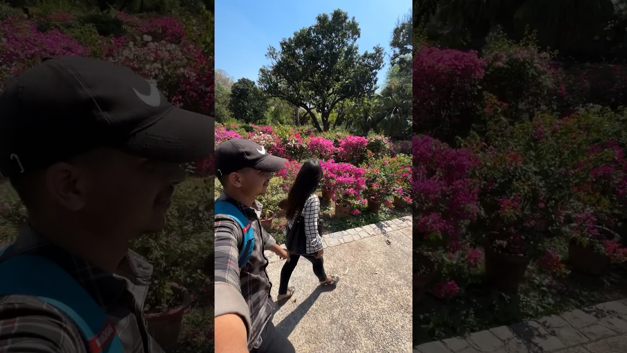 Delhi Sunder nursery 🌸|| Picnic Place Delhi🌻|| MINI-VLOG || #minivlog #vlog #trending