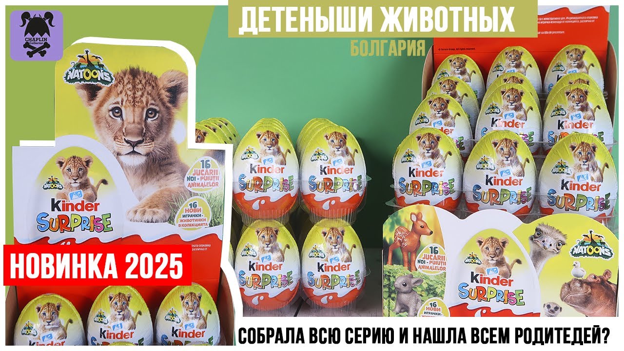 🐢Natoons🌿2025 от Киндер Сюрприз со львом | Обзор целой коллекции детенышей Натунс