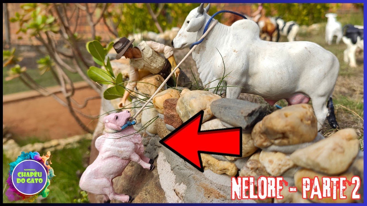 Socorro! Ajudem o Bezerro Caiu lá do Morro