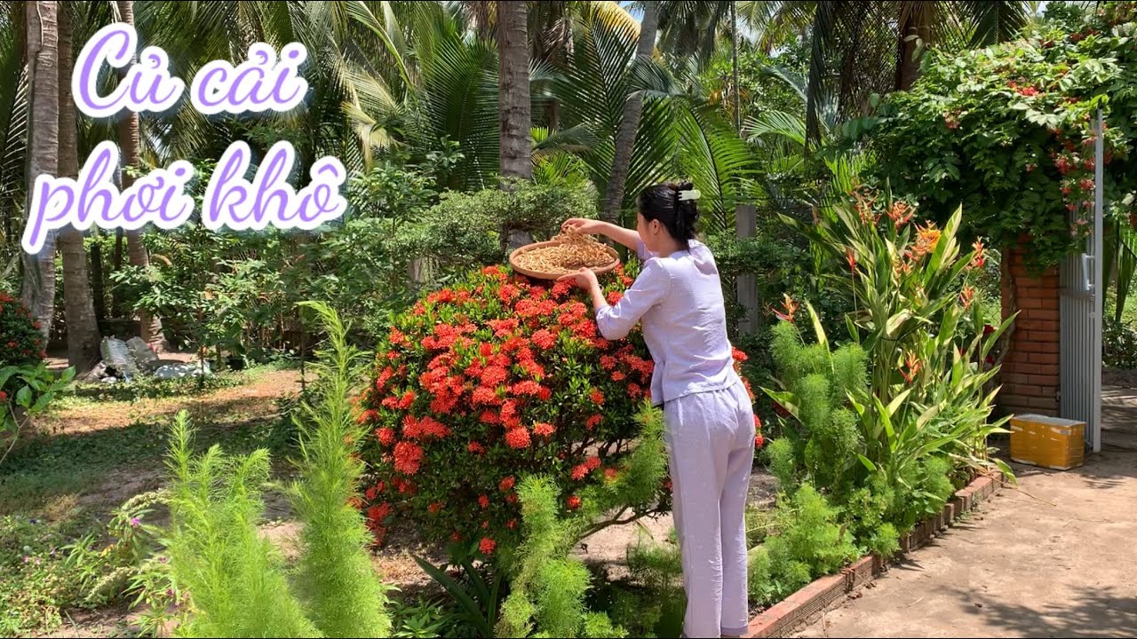 L&agrave;m V&agrave;i M&oacute;n Ngon Từ Củ Cải Phơi Kh&ocirc; - Em G&aacute;i Qu&ecirc;