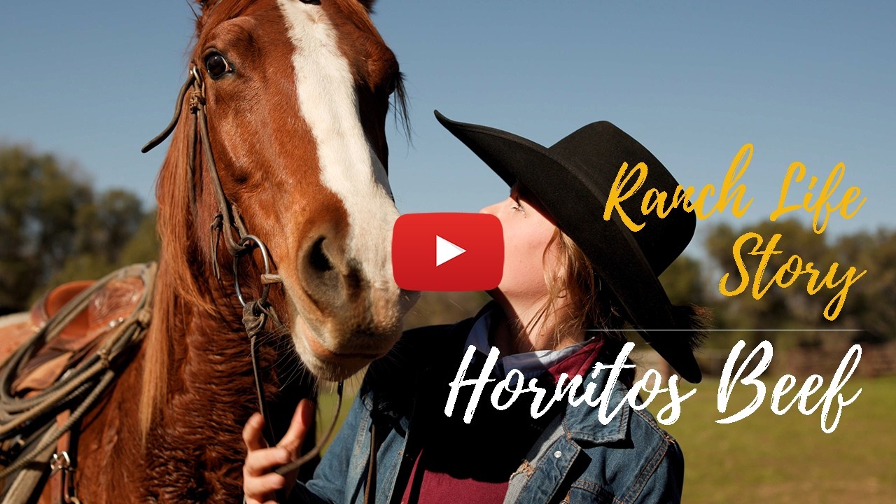 Farm to table. Hornitos Beef, California