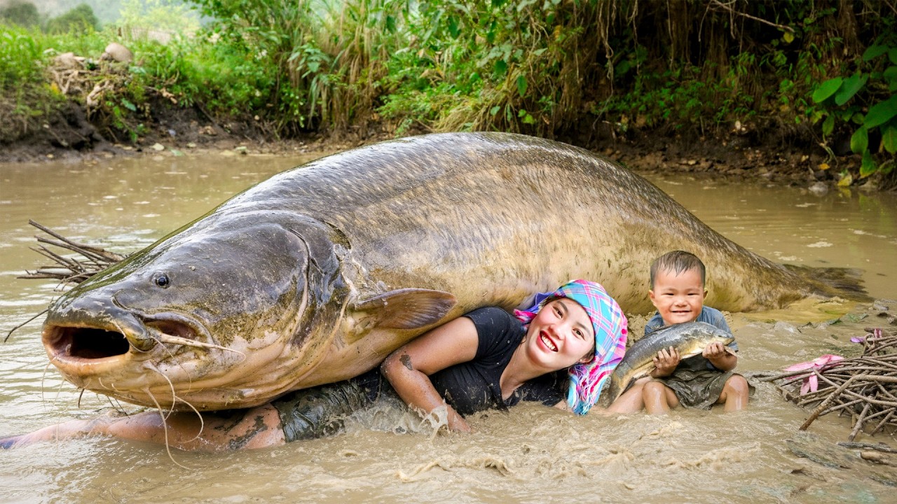 Single Mom Fishing Skill - How to Harvest Giant Fish Pond on Hot Summer Day to Sell at Market