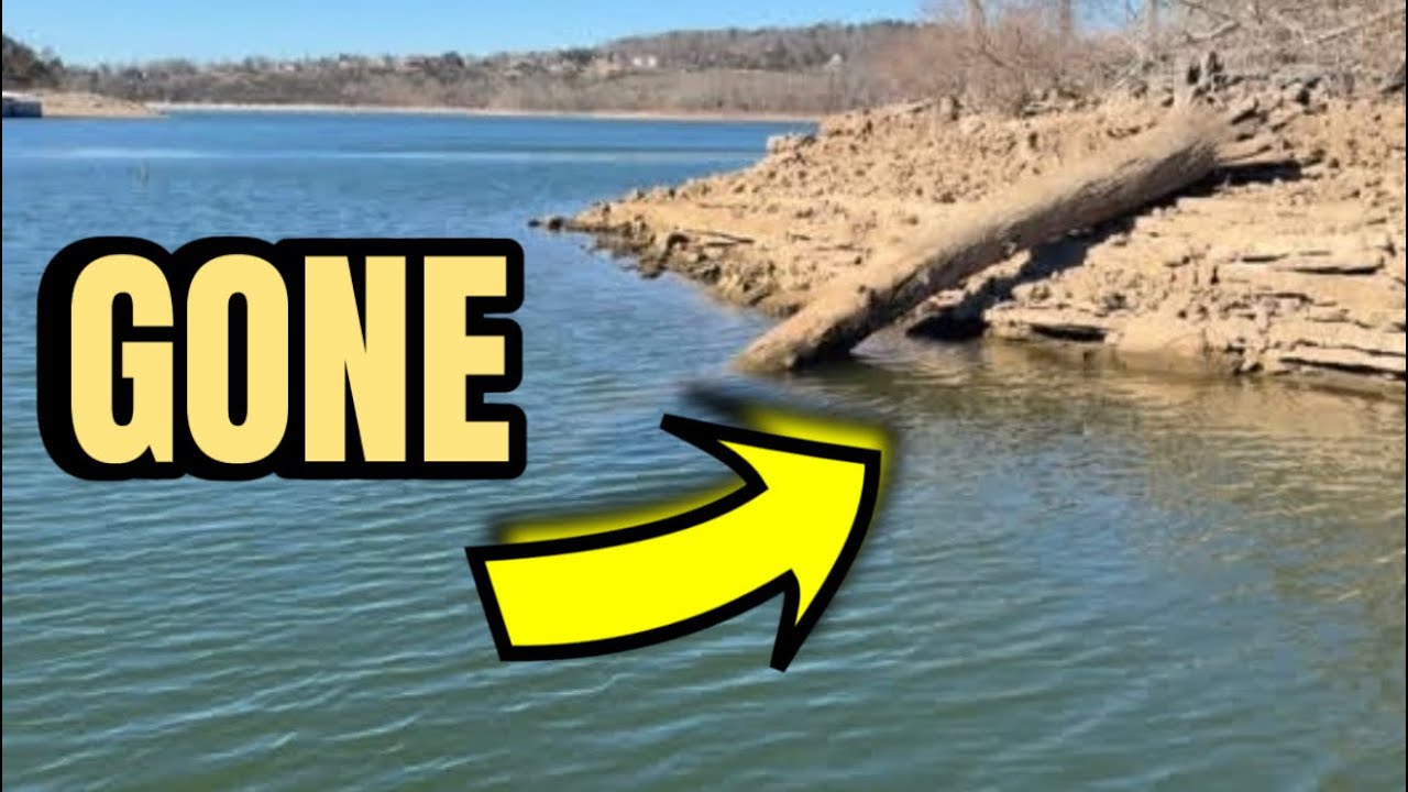 Why Bass Are Suddenly Disappearing From The Bank…