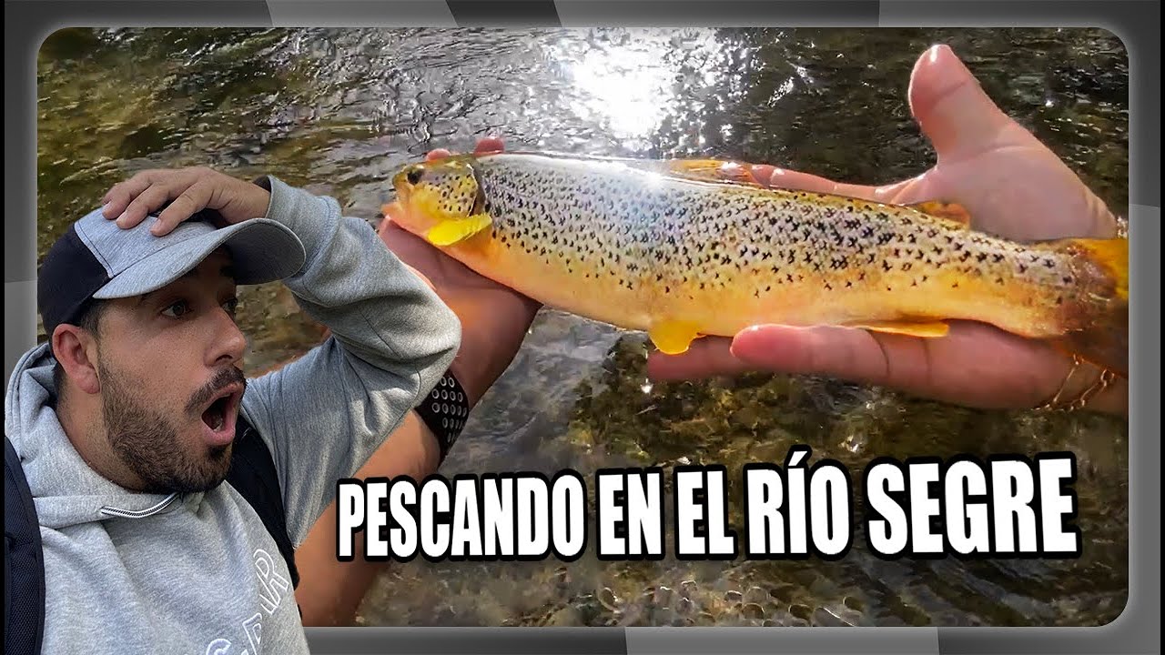 Pescando en el Rio Segre 🎣