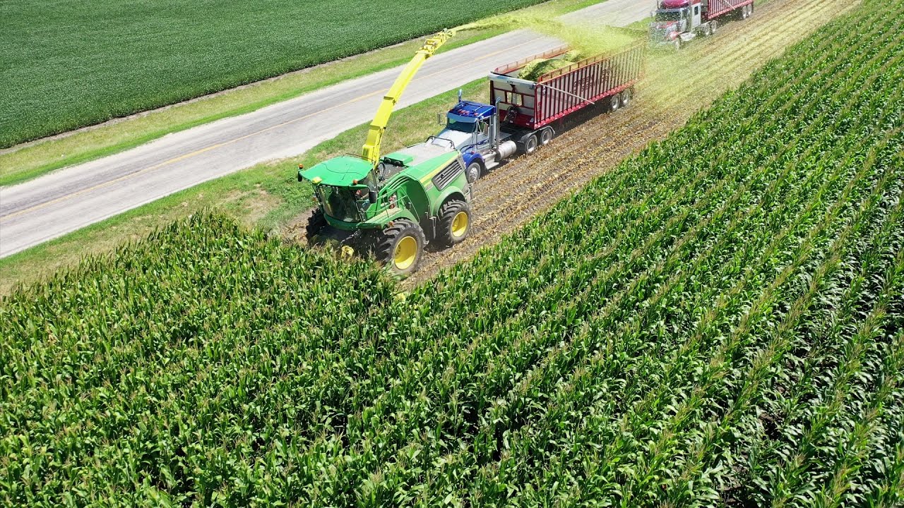 Chopping Corn Silage with the John Deere 9900 Self-Propelled Forage Harvester