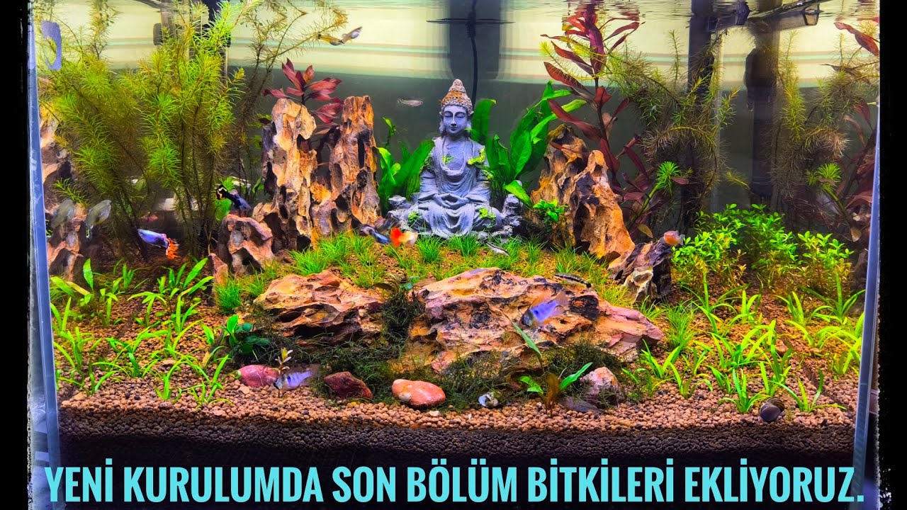 50*35*35 ULTRA CLEAR CAMA CAM NEW TANK DESİNG (VOL 3)
