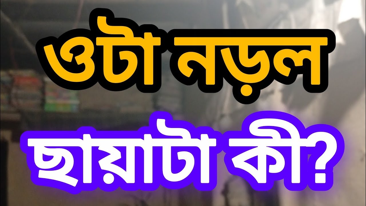 Horror Story Bangla EP 5/আমি সামনে এগোলাম… তারপর ছায়াটা নড়ল 😰/lovely cartoon tv /