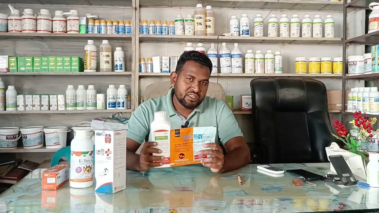 মুরগির গাম্বুড়া রোগের লক্ষণ কি 