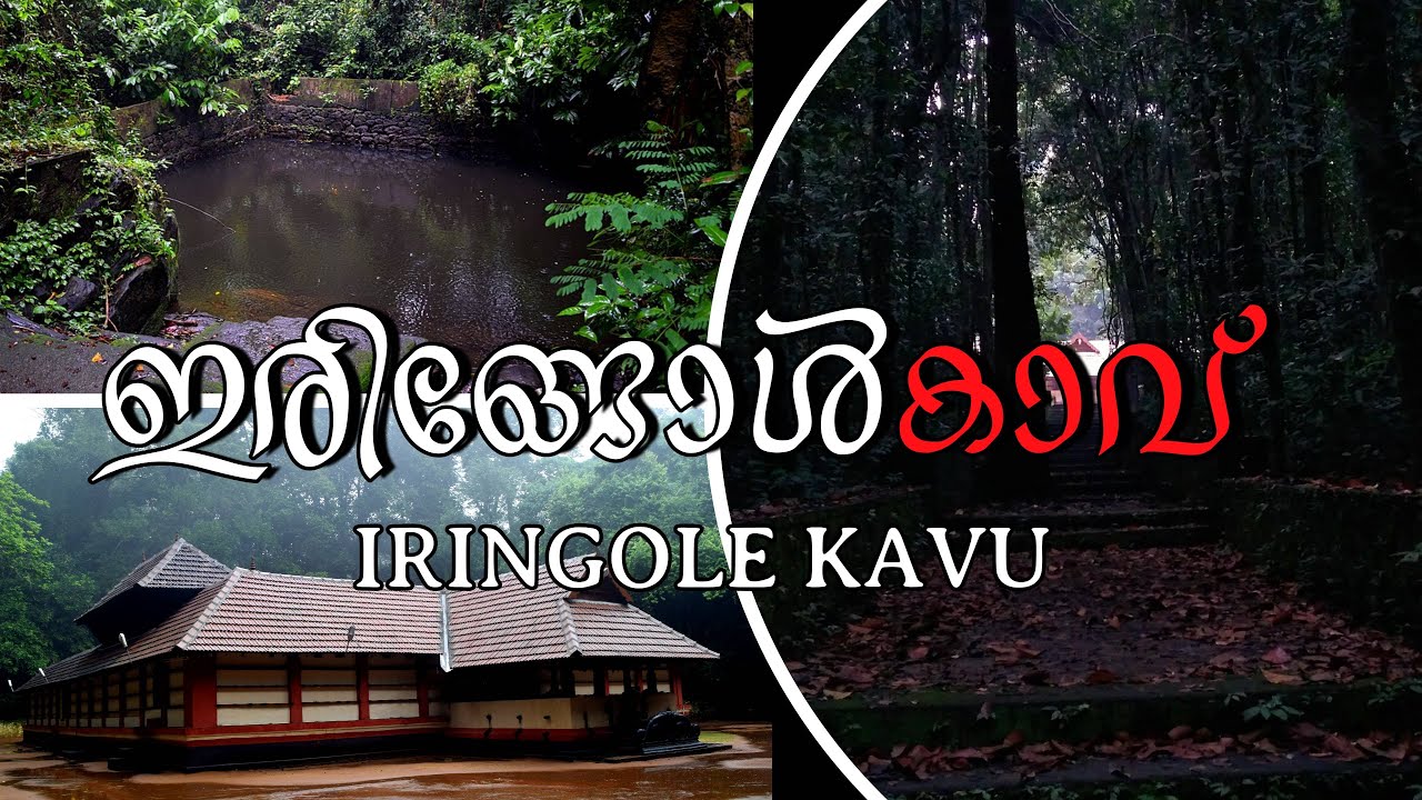 ഇരിങ്ങോൾ  കാവ് / IRINGOLE KAAVU