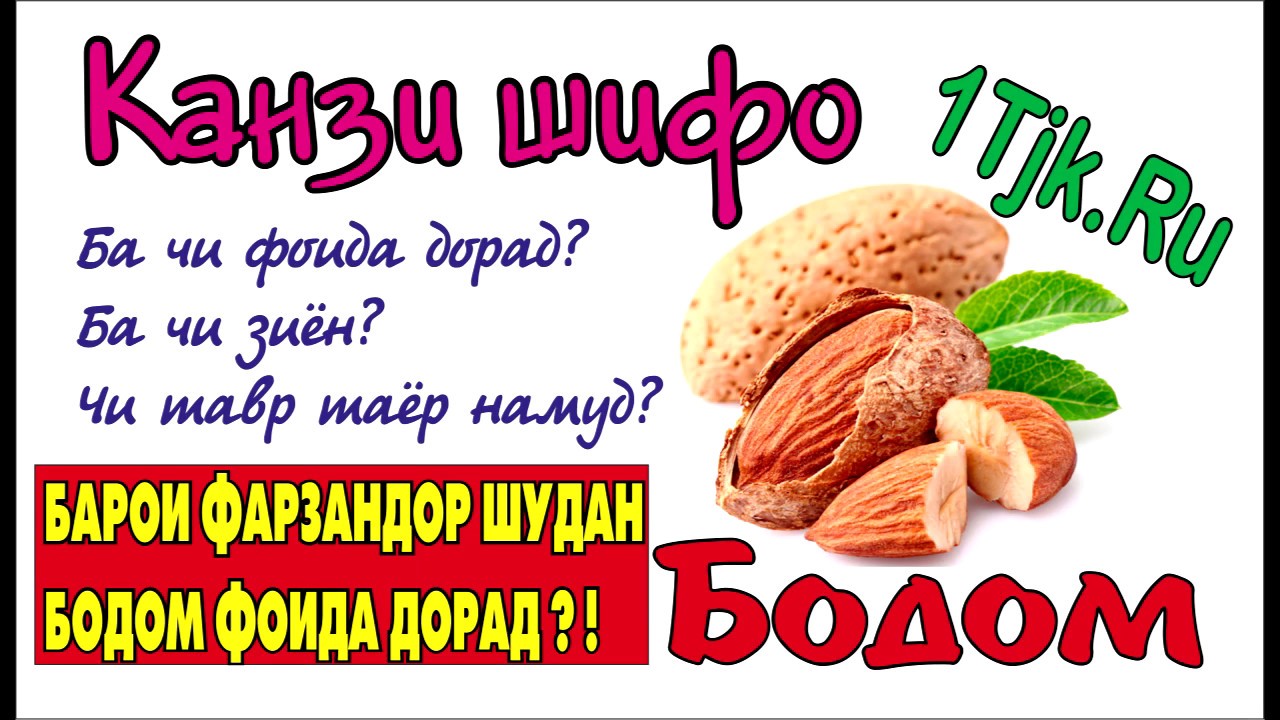 Бодом канзи шифо  тибби халқи 1tjk.ru