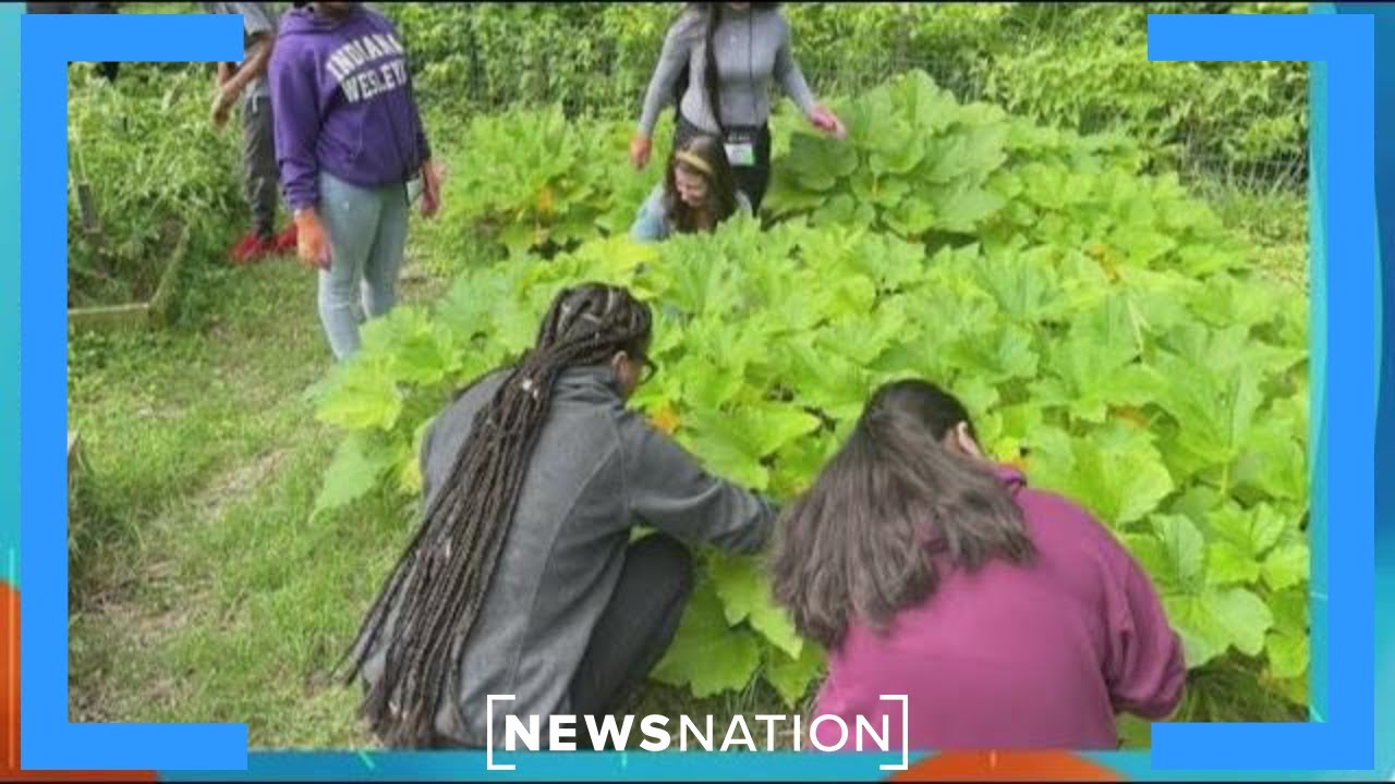 Tennessee pastor leaves ministry to run urban farm | Morning in America