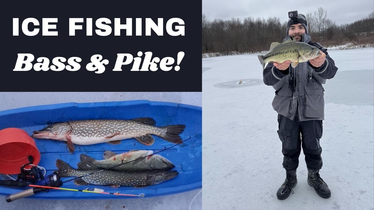Ice Fishing Bass and Pike! (Largemouth Catch and Cook!)