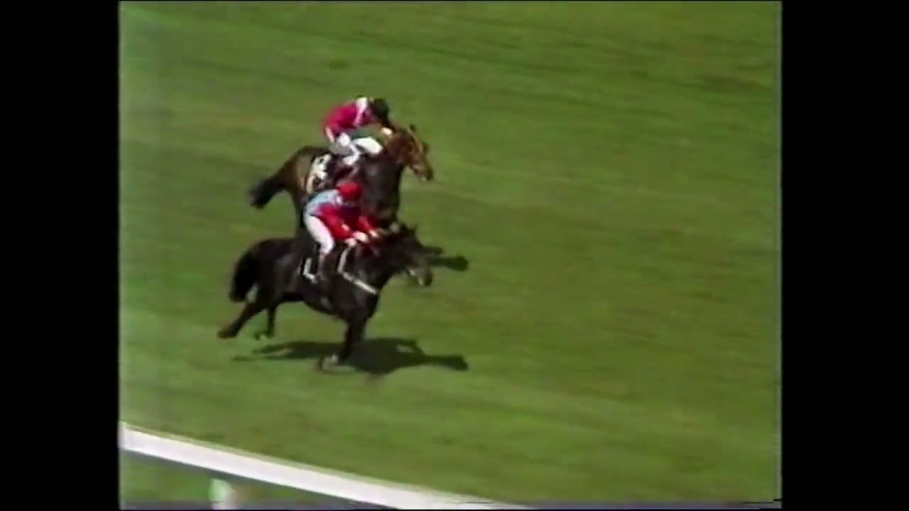 Sea Pigeon wins The 1980 Welsh Champion Hurdle with Jonjo ONeil on board