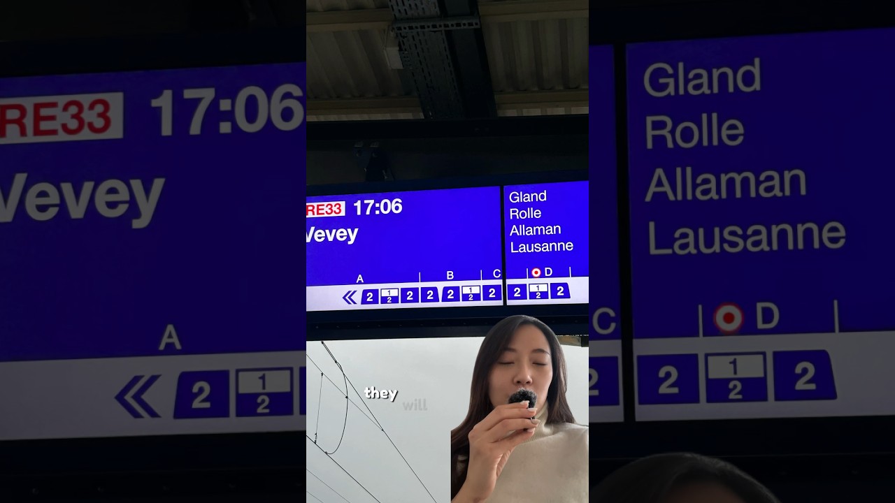 This is the SMART WAY of boarding the trains in Switzerland: 🇨🇭 #sbb #swisspublictransport