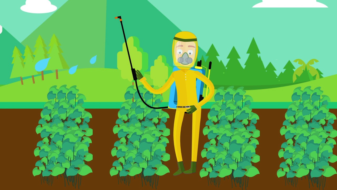 2. Dosificación del producto y volumen de agua