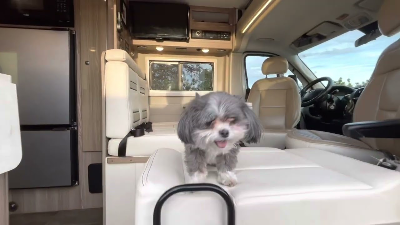 For Sale! 2019 Winnebago Travato 59GL $98,000
