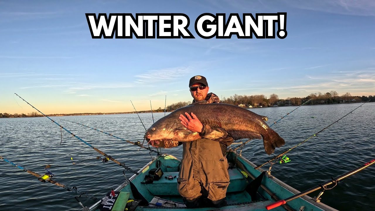 Searching for winter catfish on Lake Norman