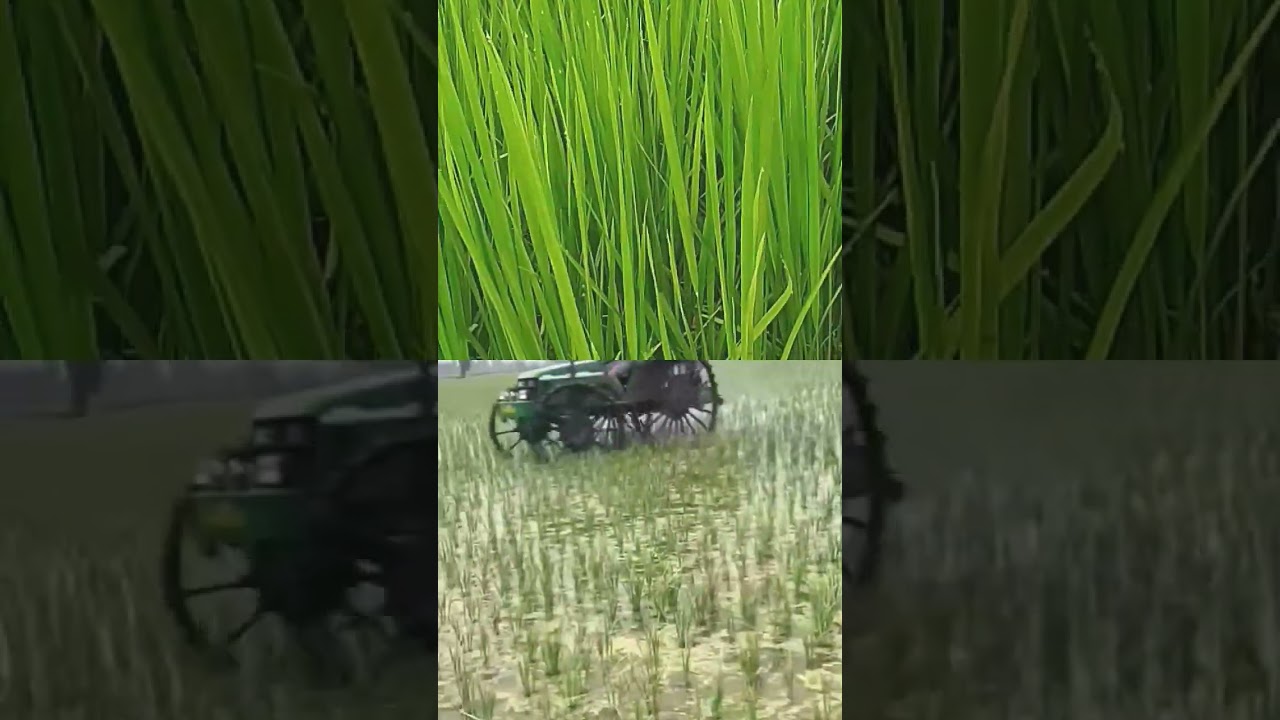 #punjabfloods#punjab#punjabkisan#shortvideo#viral#bestvideos