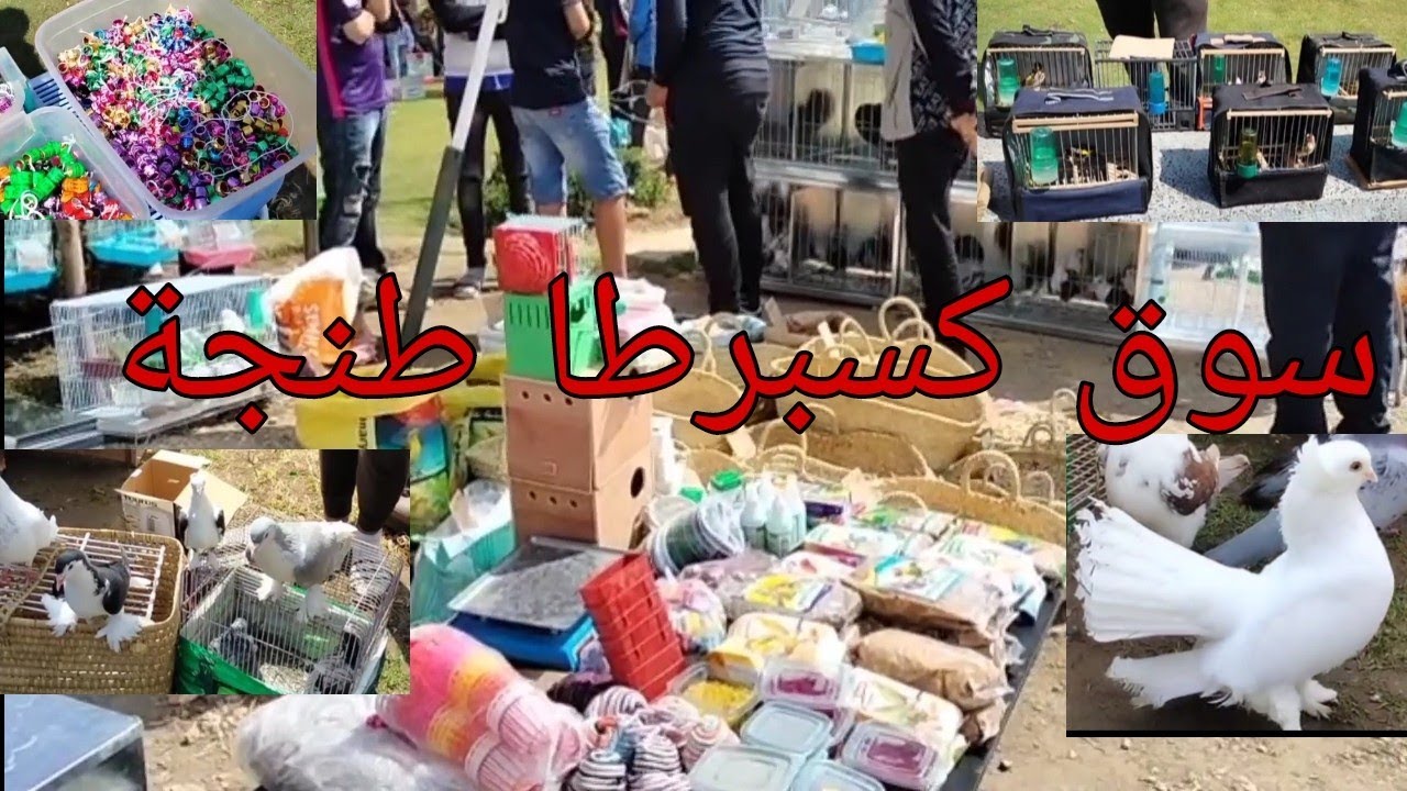 kasabarata tangirسوق كسبرطا طنجة
