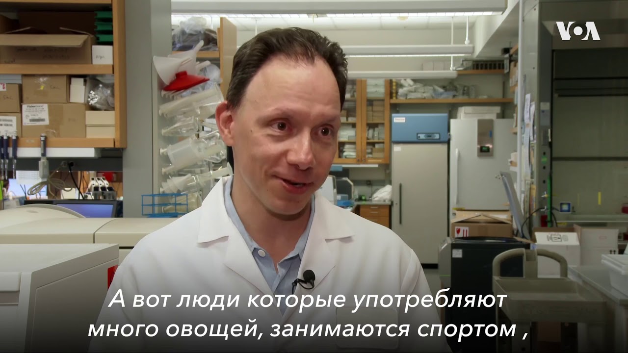 Раскрыть секрет долголетия GrimAge