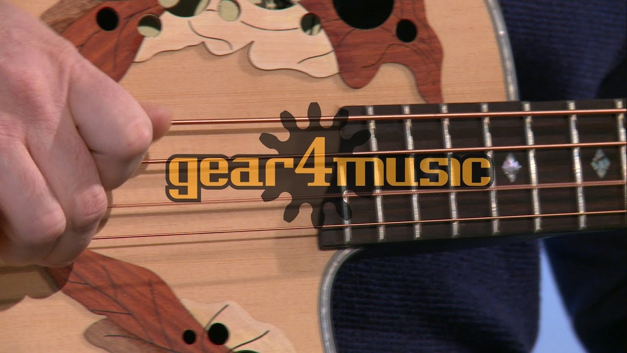 Roundback Electro Acoustic Bass Guitar Performance