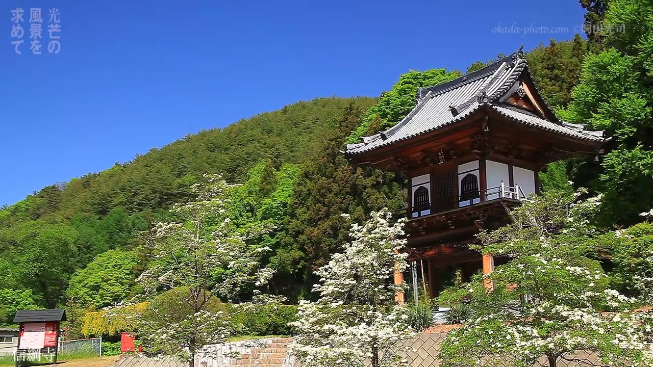 真田の山城 06 打越城跡 尾引城跡 信綱寺 古城緑地広場