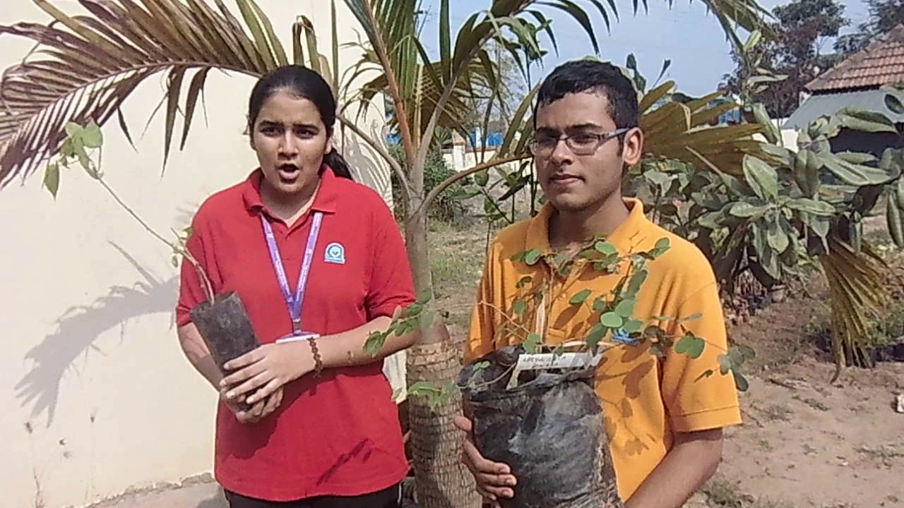 LMOIS IBDP - CAS Activity @ Omega Tree Plantation