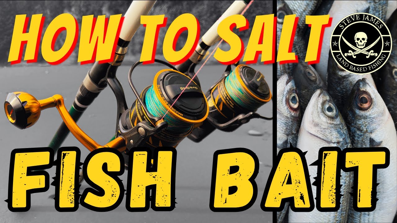 HOW TO SALT PILCHARD FOR FISH BAIT