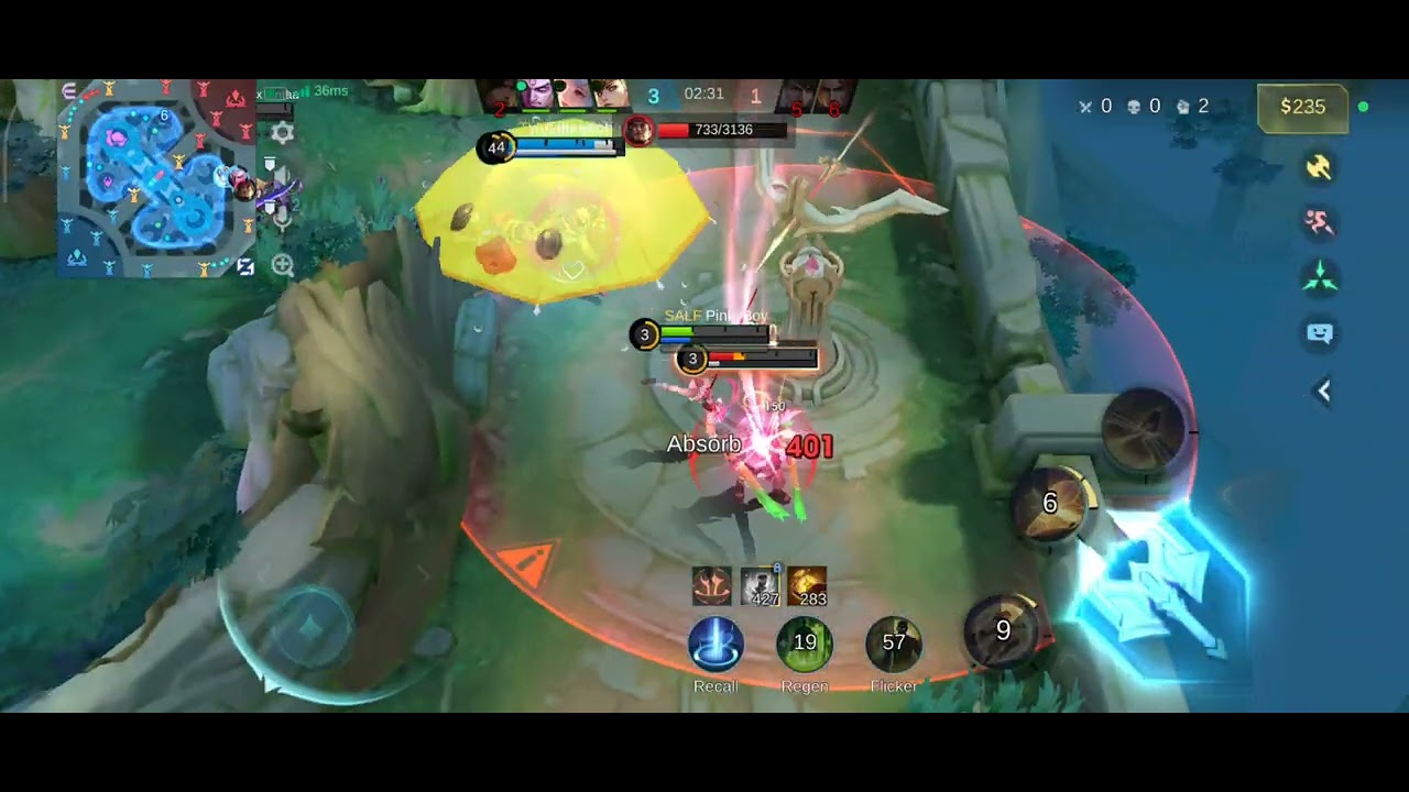 Tutor roam idaman
