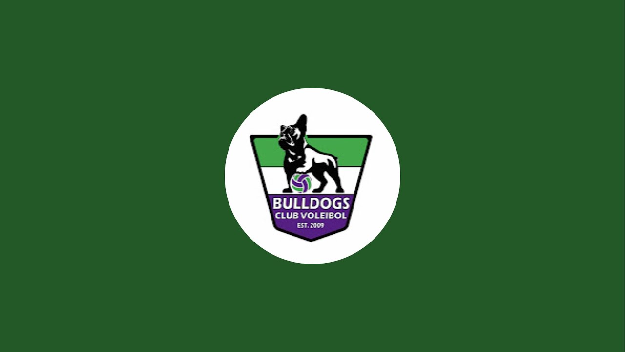 CV Bulldogs Infantil Morado - CV Recuerdo