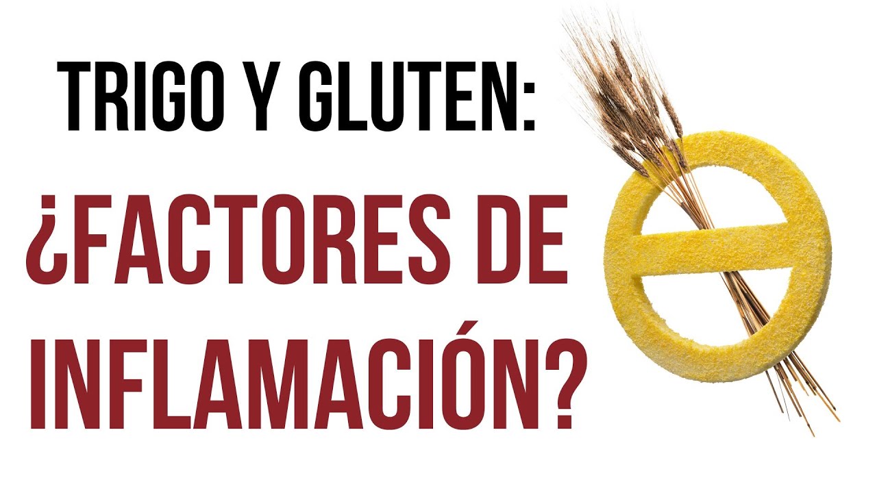 🥖 Alimentos Controvertidos que CAUSAN INFLAMACIÓN🚨Trigo y Gluten - Lucía Redondo