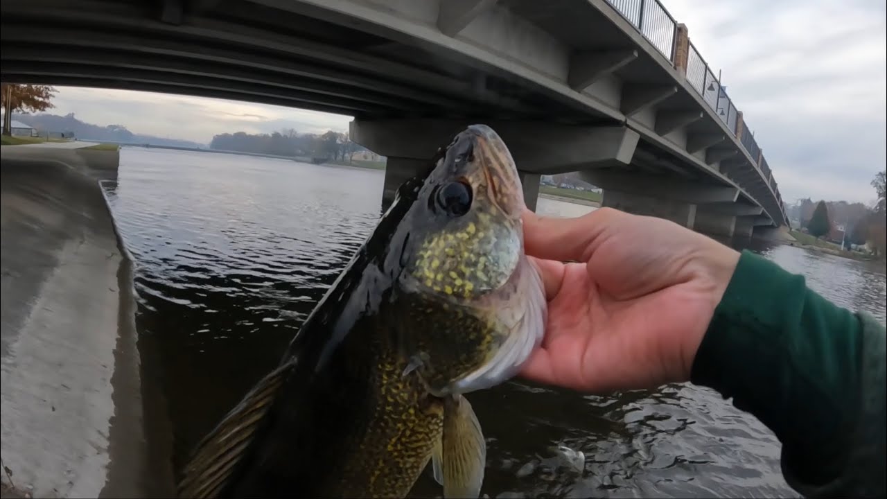 River Fishing Crankbaits for Fall Walleye & Smallmouth