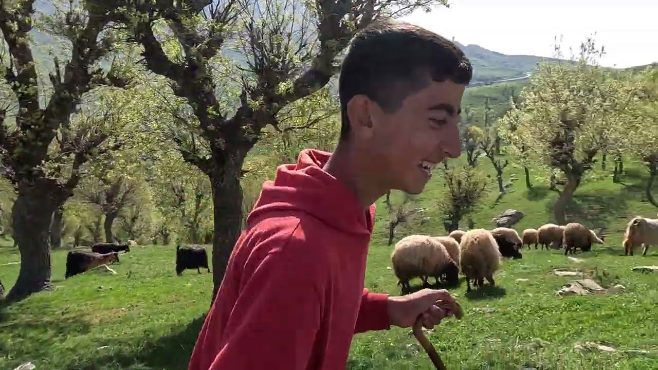 20  Nisan 2024 herema gundê Memîra
