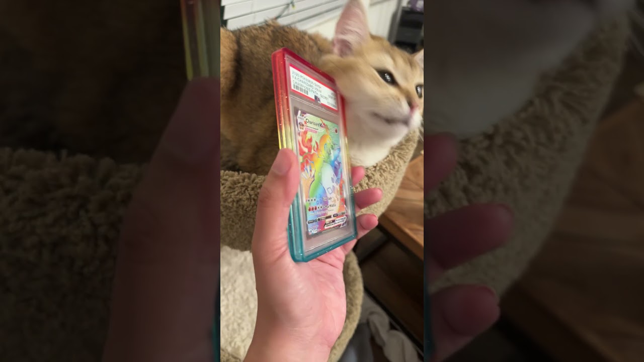 Champions Path Chase 🏆 #pokemoncards #cards #charizard #pokemoncommunity #tcg#lostorigin #edit#cat