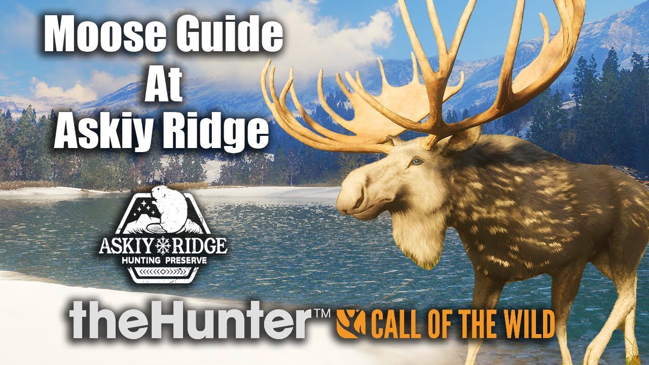 Moose Guide At Askiy Ridge - theHunter Call Of The Wild