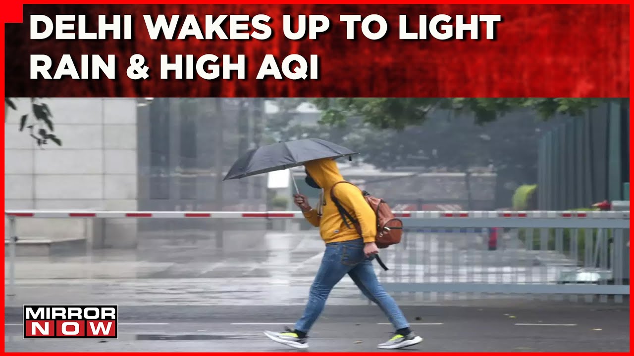 Delhi Receives To Light Rain Despite Slight Respite From Cold Wave |Flights Delayed To Fog |Top News
