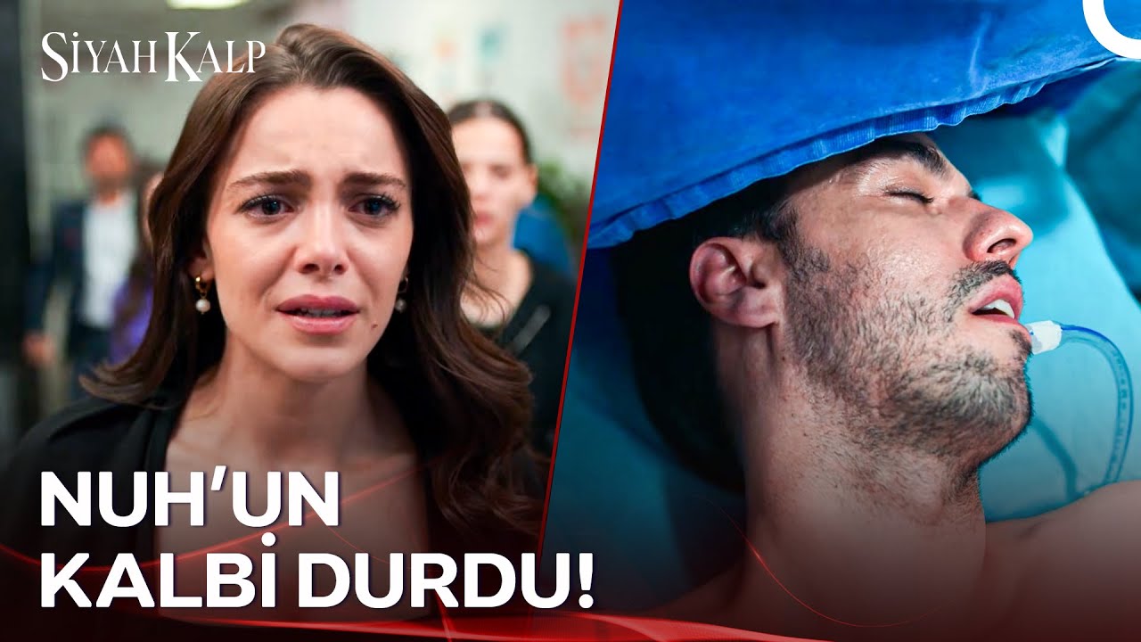 İkizler Her Şeyi Hisseder... | Siyah Kalp 33. Bölüm