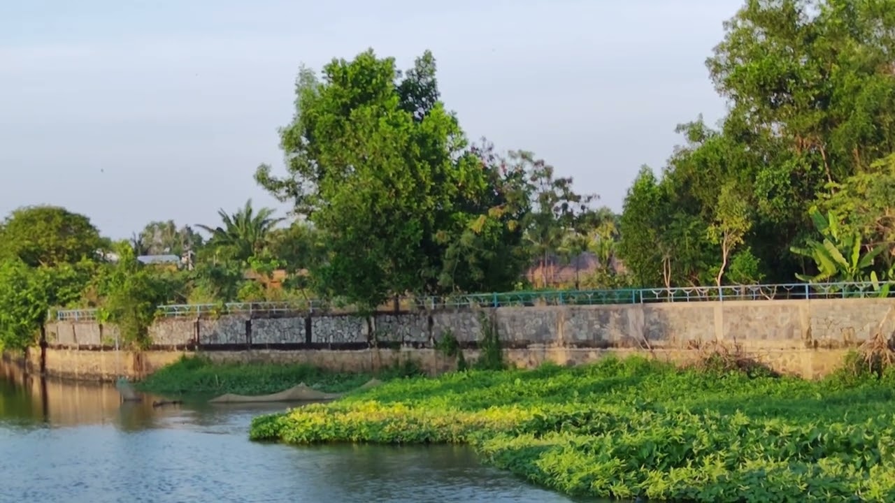 Chiều bên rạch Tây Ninh 
