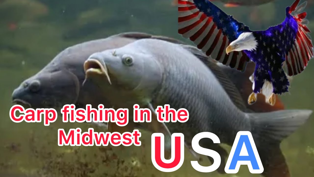 Fall Carp Fishing,2025.