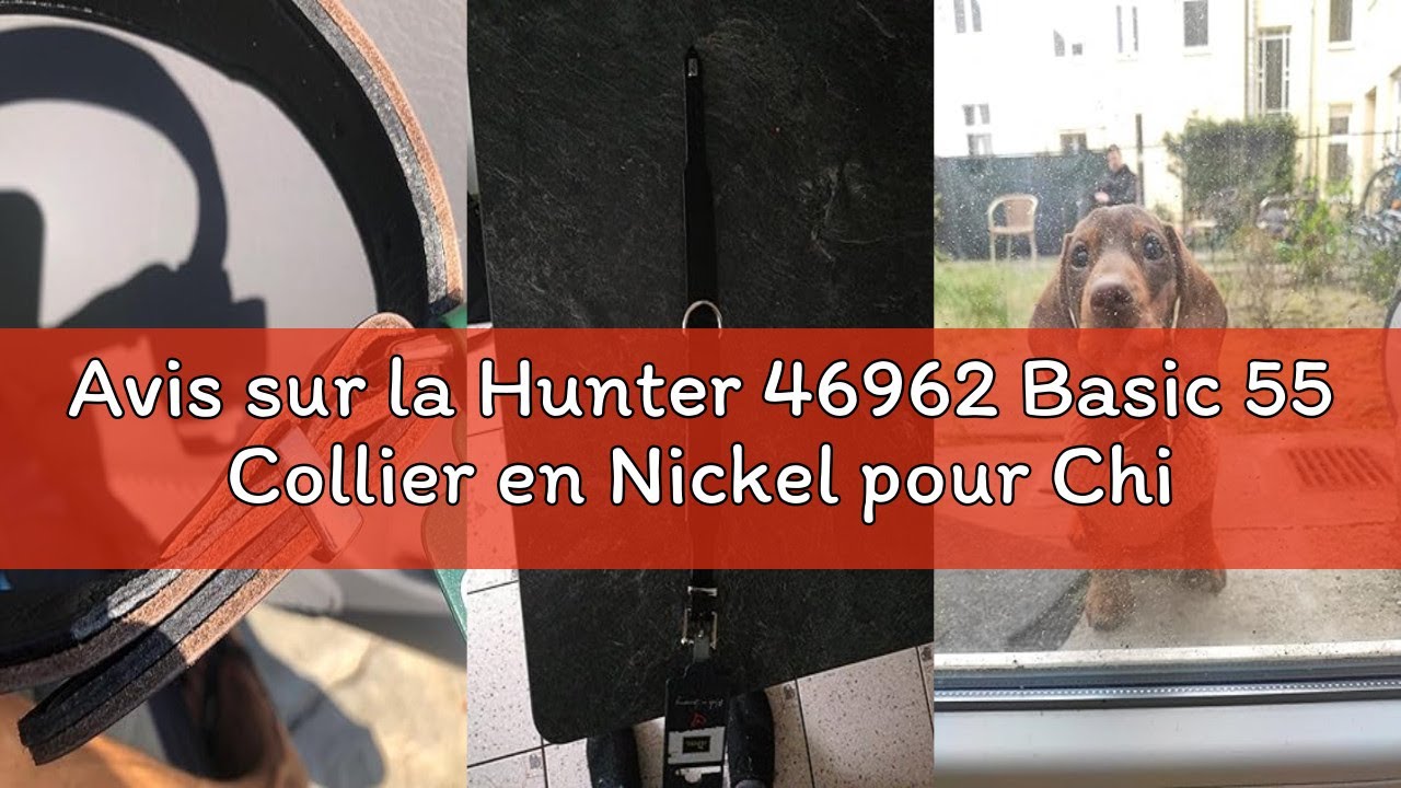 Avis sur la Hunter 46962 Basic 55 Collier en Nickel pour Chien Noir 41-49 cm